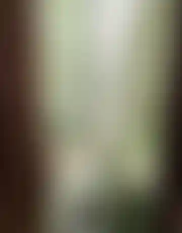 Изображение 17