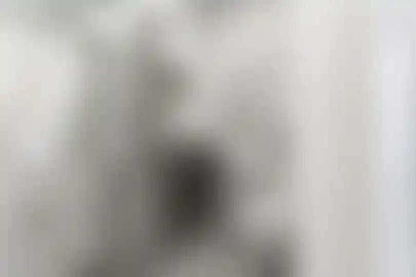 Изображение 20