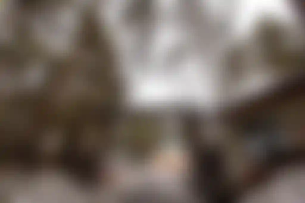 Изображение 18