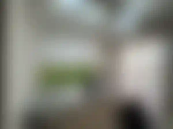 Изображение 16