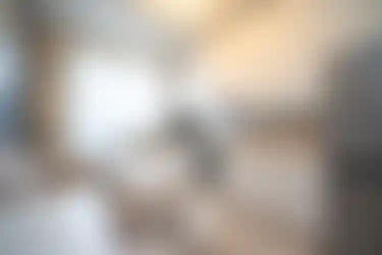 Изображение 0