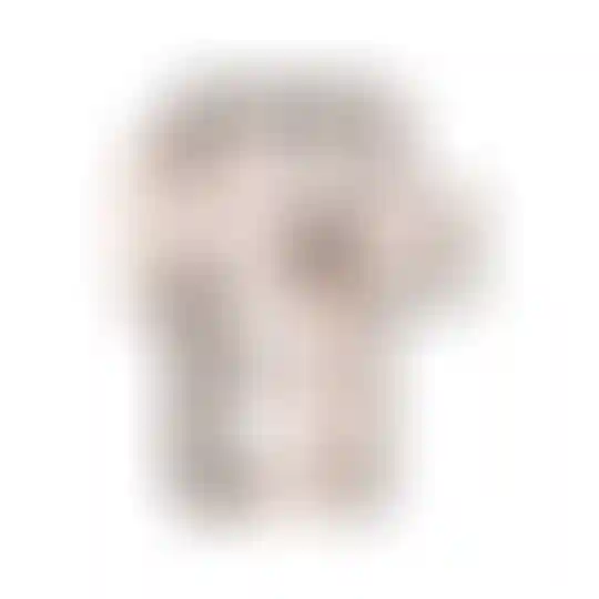 Изображение 0