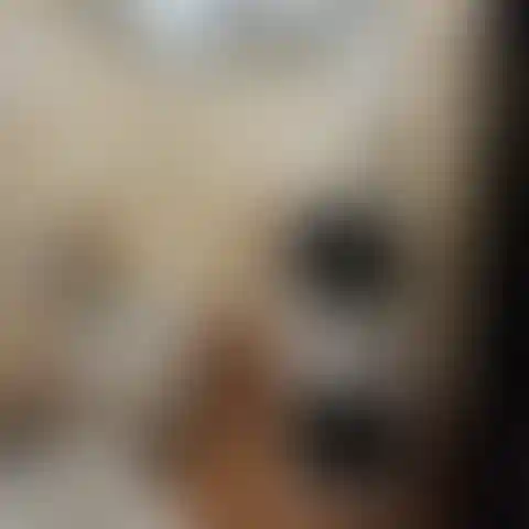 Изображение 22