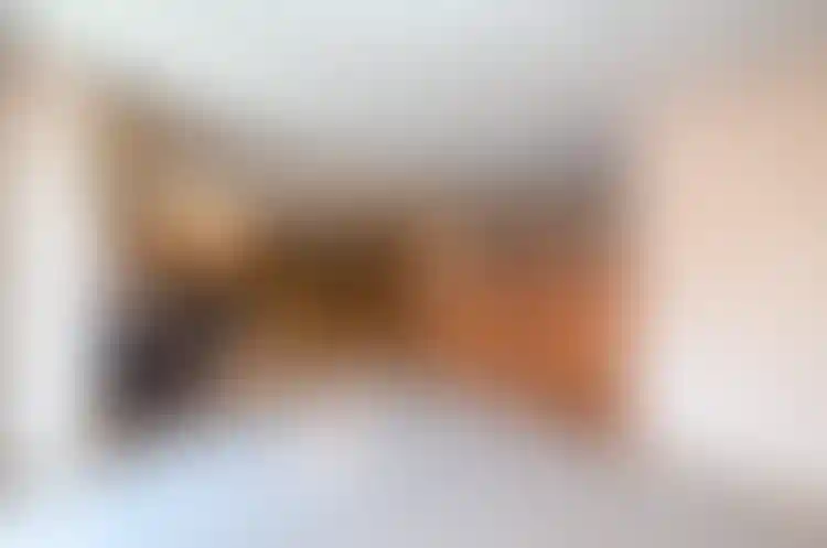 Изображение 15