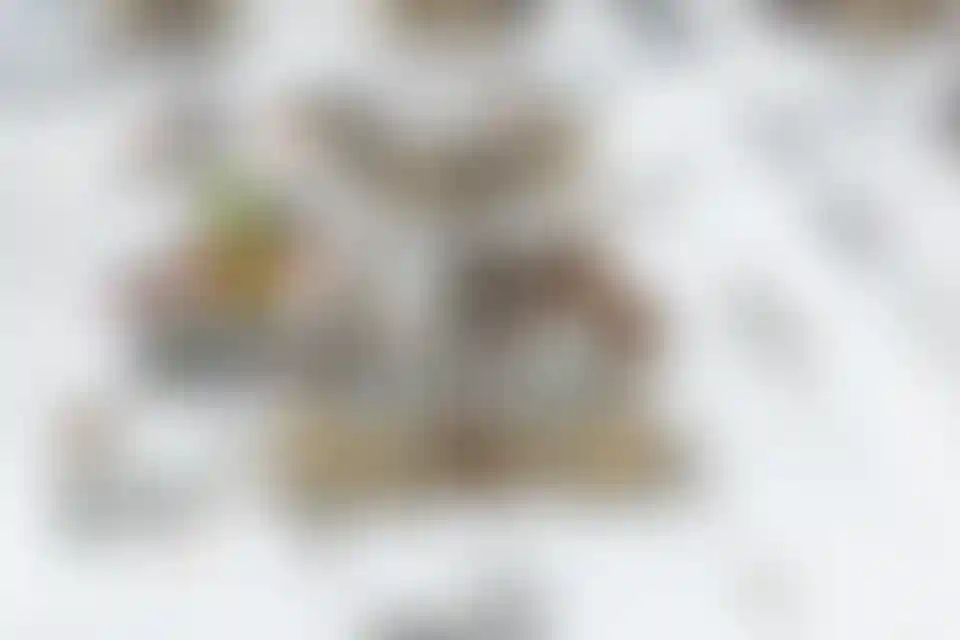 Изображение 22