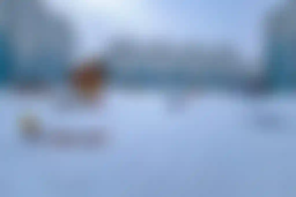 Изображение 19