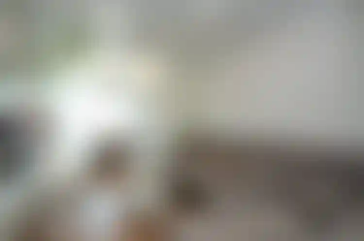 Изображение 20