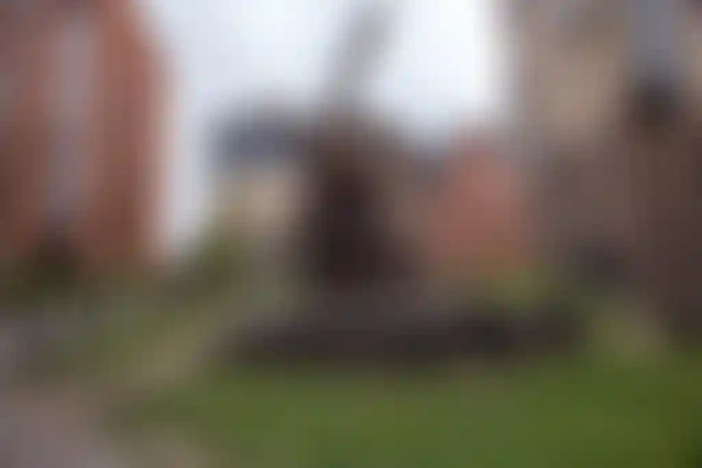 Изображение 41