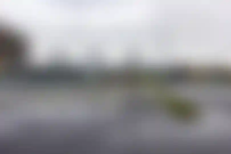 Изображение 16