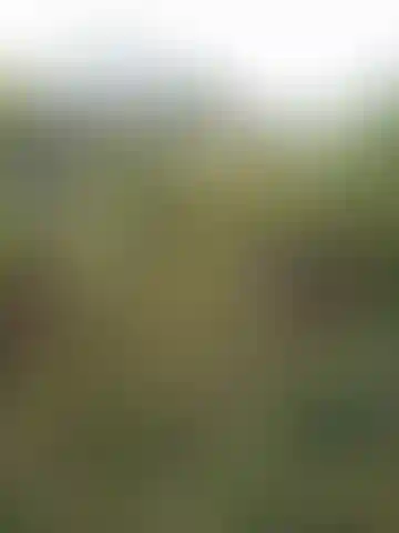 Изображение 11