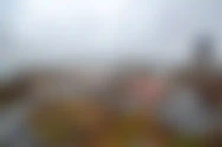 Изображение 13