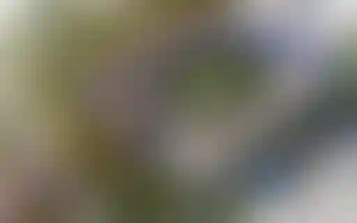 Изображение 0