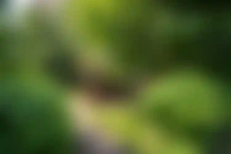 Изображение 38