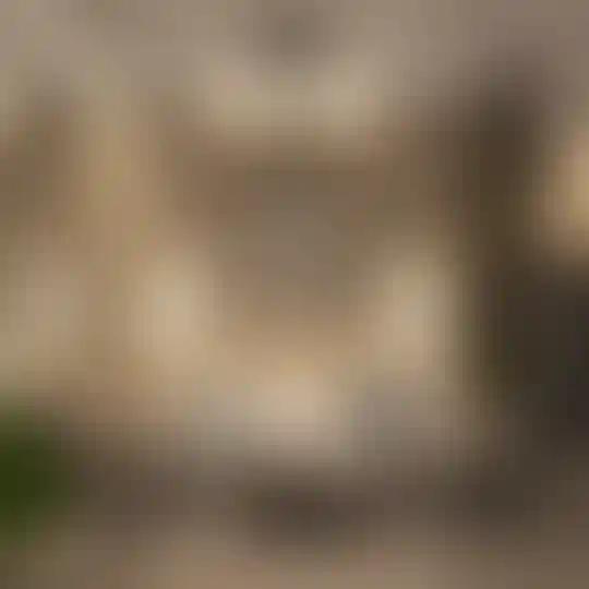 Изображение 16