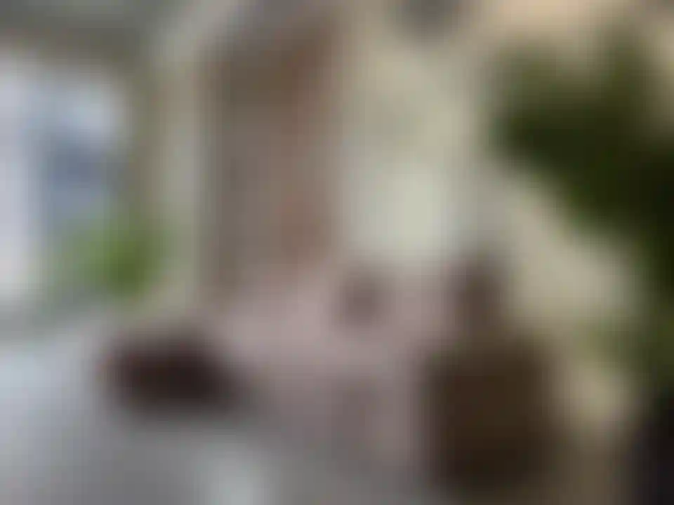 Изображение 15