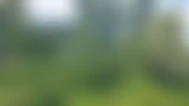 Изображение 0