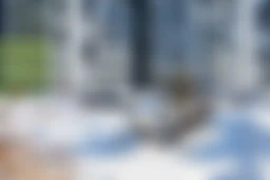 Изображение 21