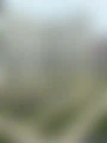 Изображение 15