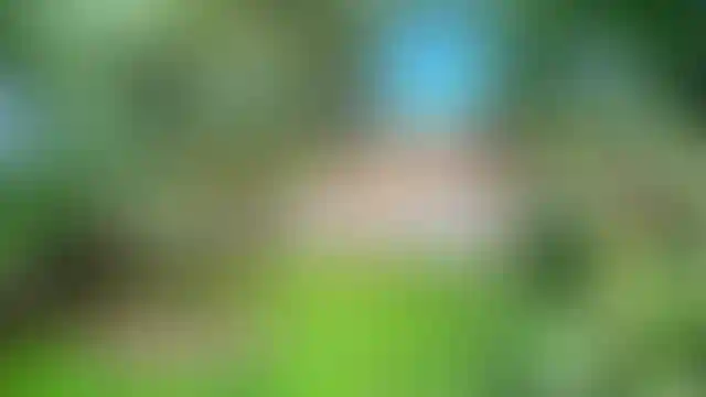 Изображение 24