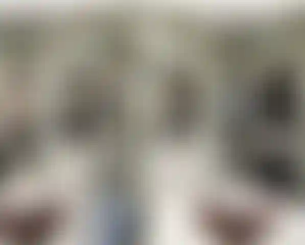 Изображение 12