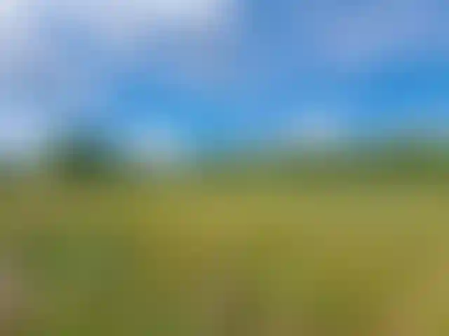Изображение 0