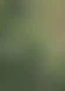 Изображение 0
