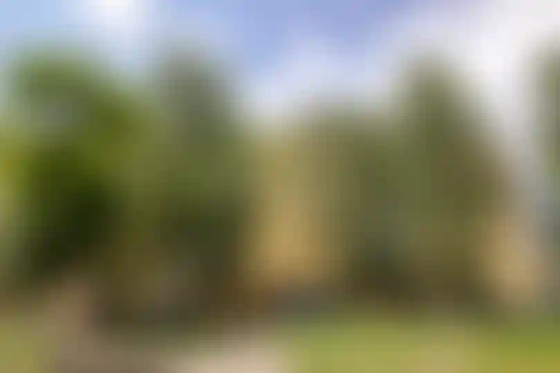 Изображение 26