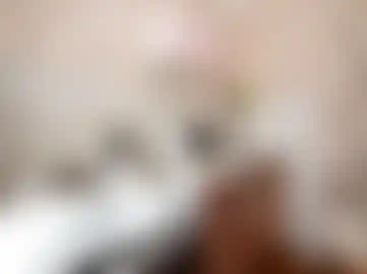 Изображение 11