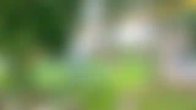 Изображение 28