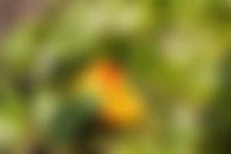 Изображение 27