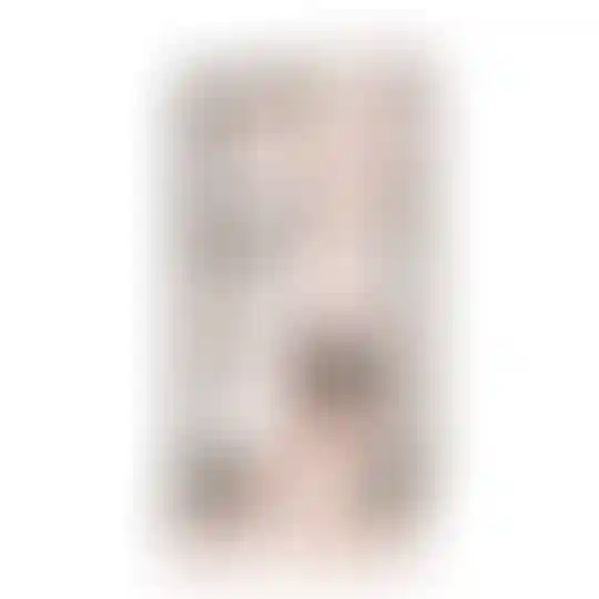 Изображение 0