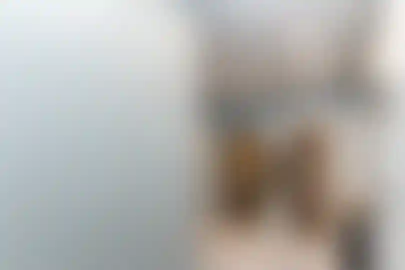 Изображение 42