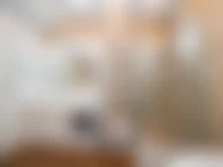 Изображение 26