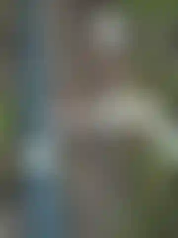 Изображение 16