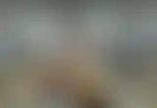 Изображение 0