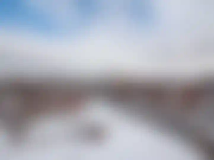 Изображение 38