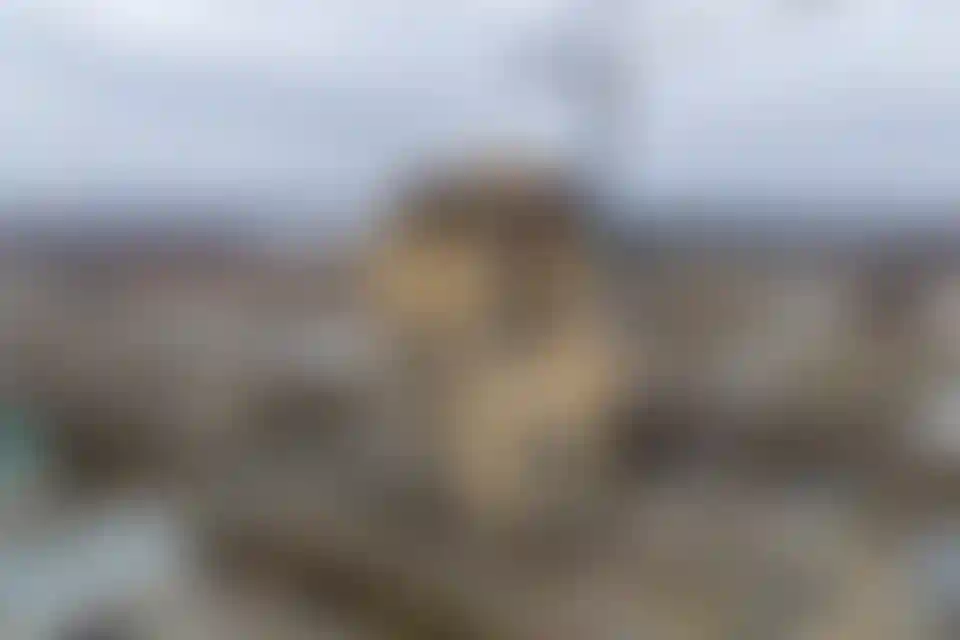 Изображение 19