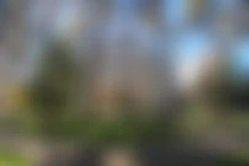 Изображение 35