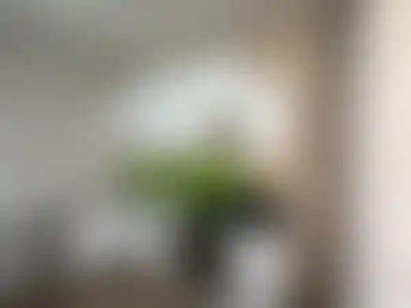 Изображение 46