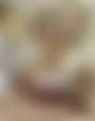 Изображение 0