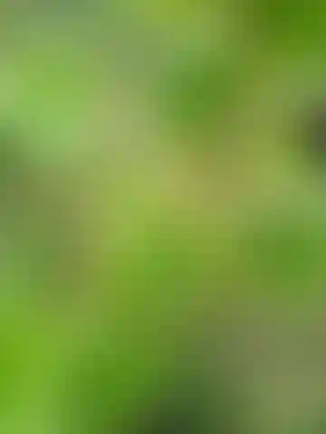 Изображение 0