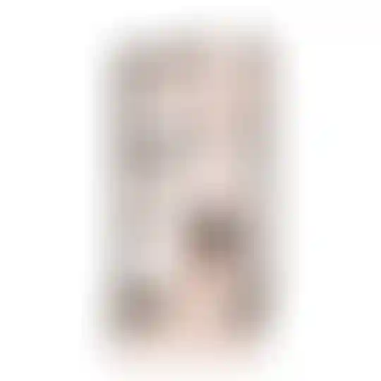 Изображение 0