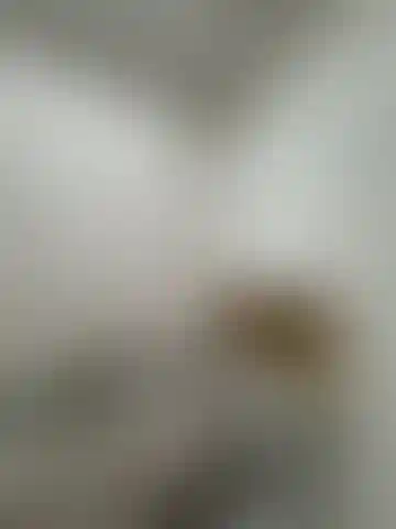 Изображение 16