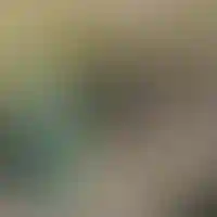 Изображение 0