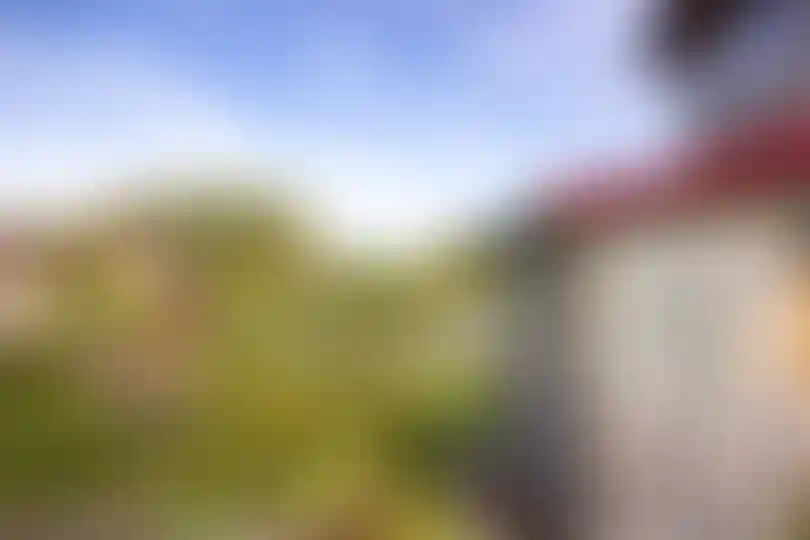 Изображение 31