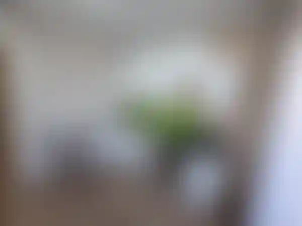 Изображение 10