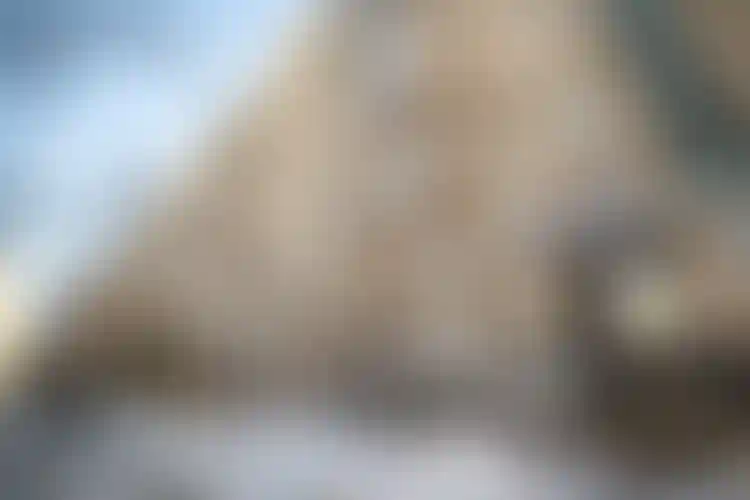 Изображение 14