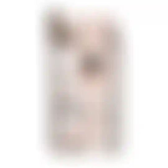 Изображение 0