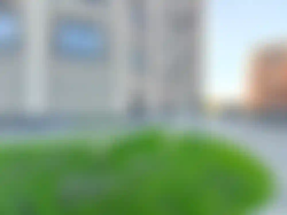 Изображение 25