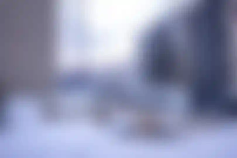 Изображение 25